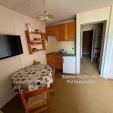 Appartement 1 pièce / 20 m² / 33 000 € / SELONNET